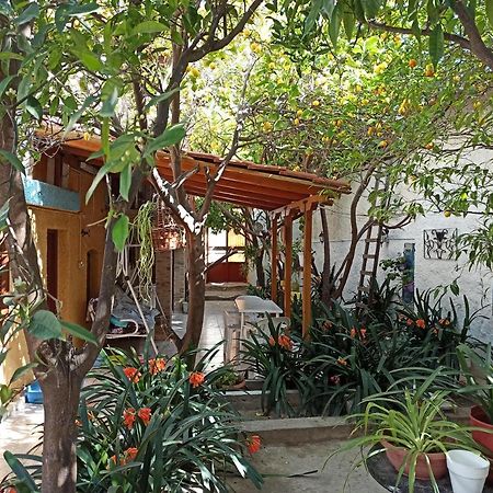 Aegina Town Traditional Lemon House エクステリア 写真