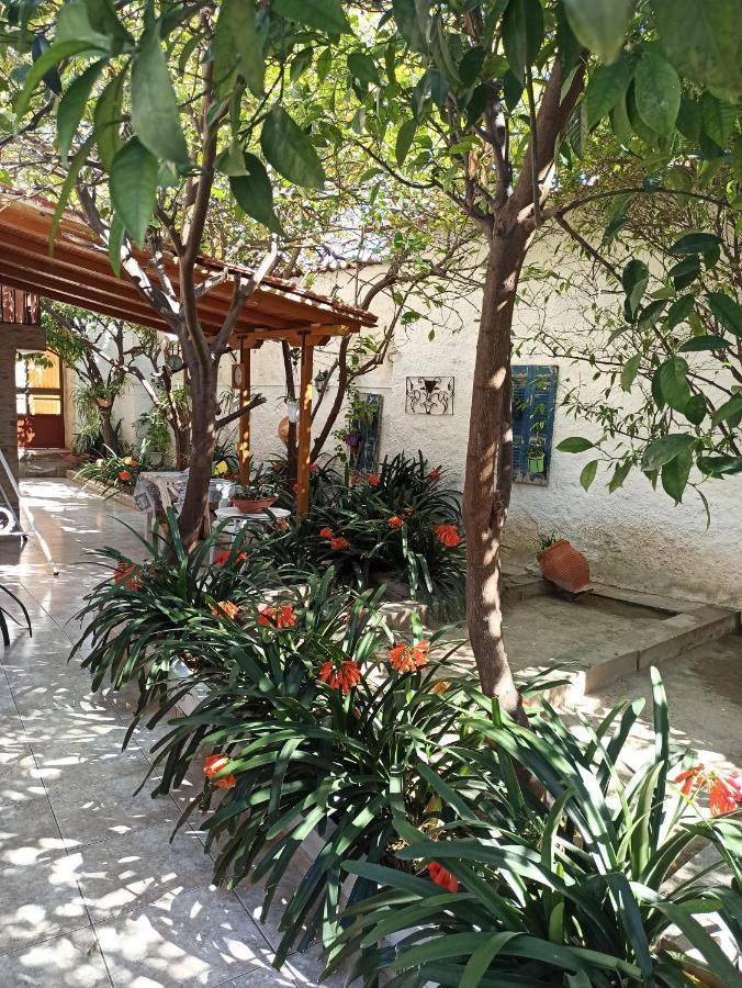 Aegina Town Traditional Lemon House エクステリア 写真